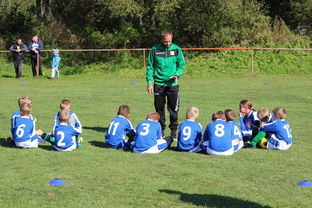 MK手机客户端-替补席能否发挥稳定战术执行能力影响赛季后期，替补席是什么意思